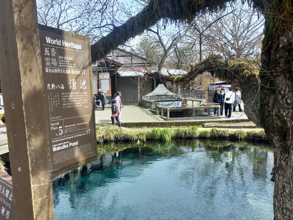 phil_misopi's tweet photo. 卒業旅行3 https://t.co/jGIWAbI9CX