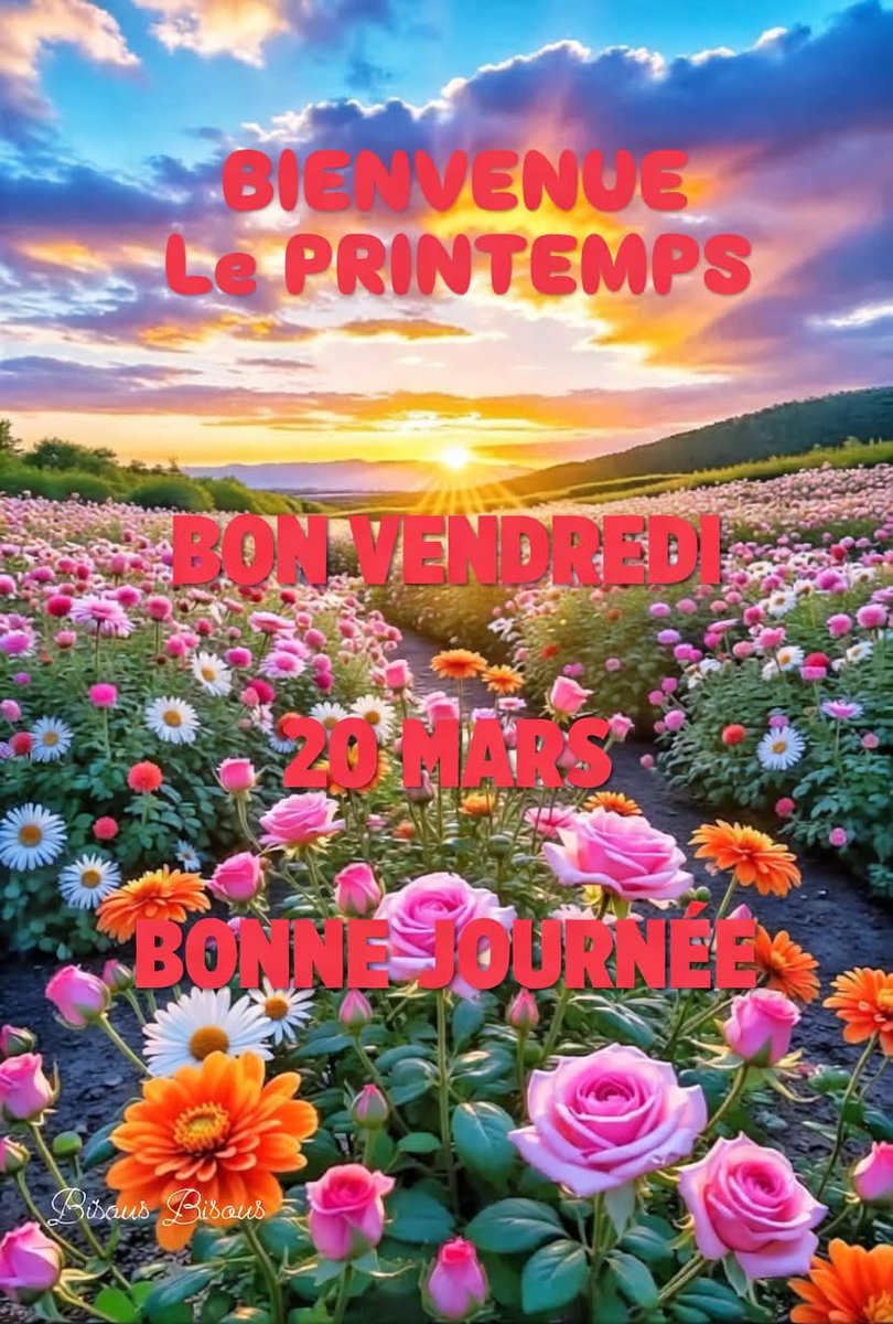 Romain 🇫🇷 🇮🇹 tweet media
