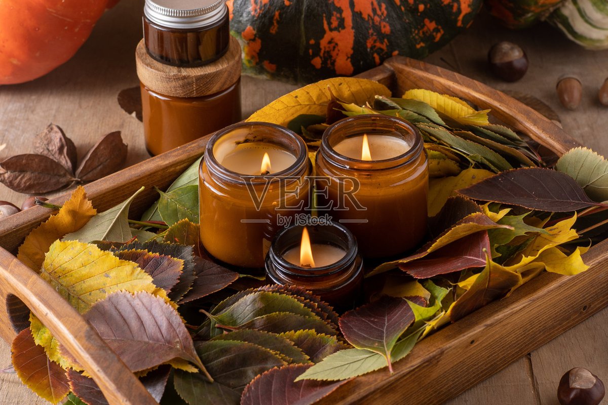 Lora Mitchell tweet media