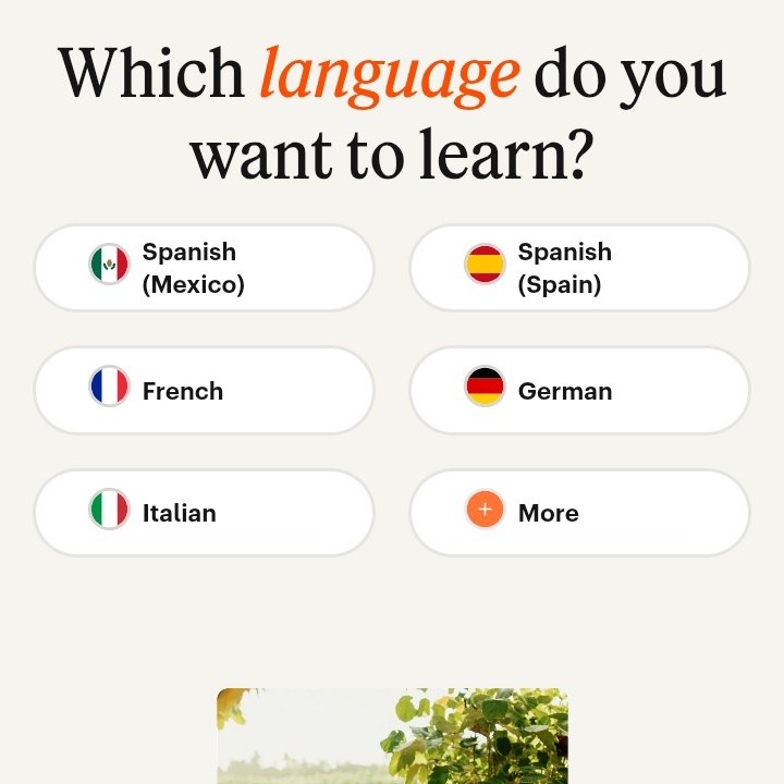 Fatwa Stud 📚 tweet media