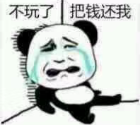 风无向🦅 tweet media