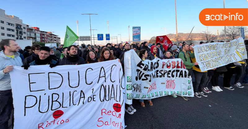 3CatInfo tweet media