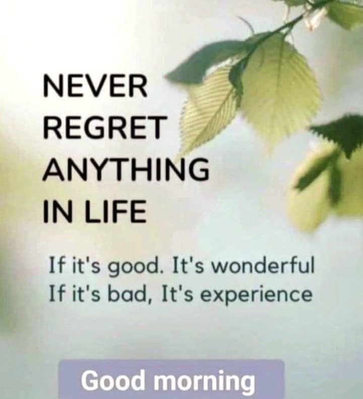 M Azhar Siddique tweet media