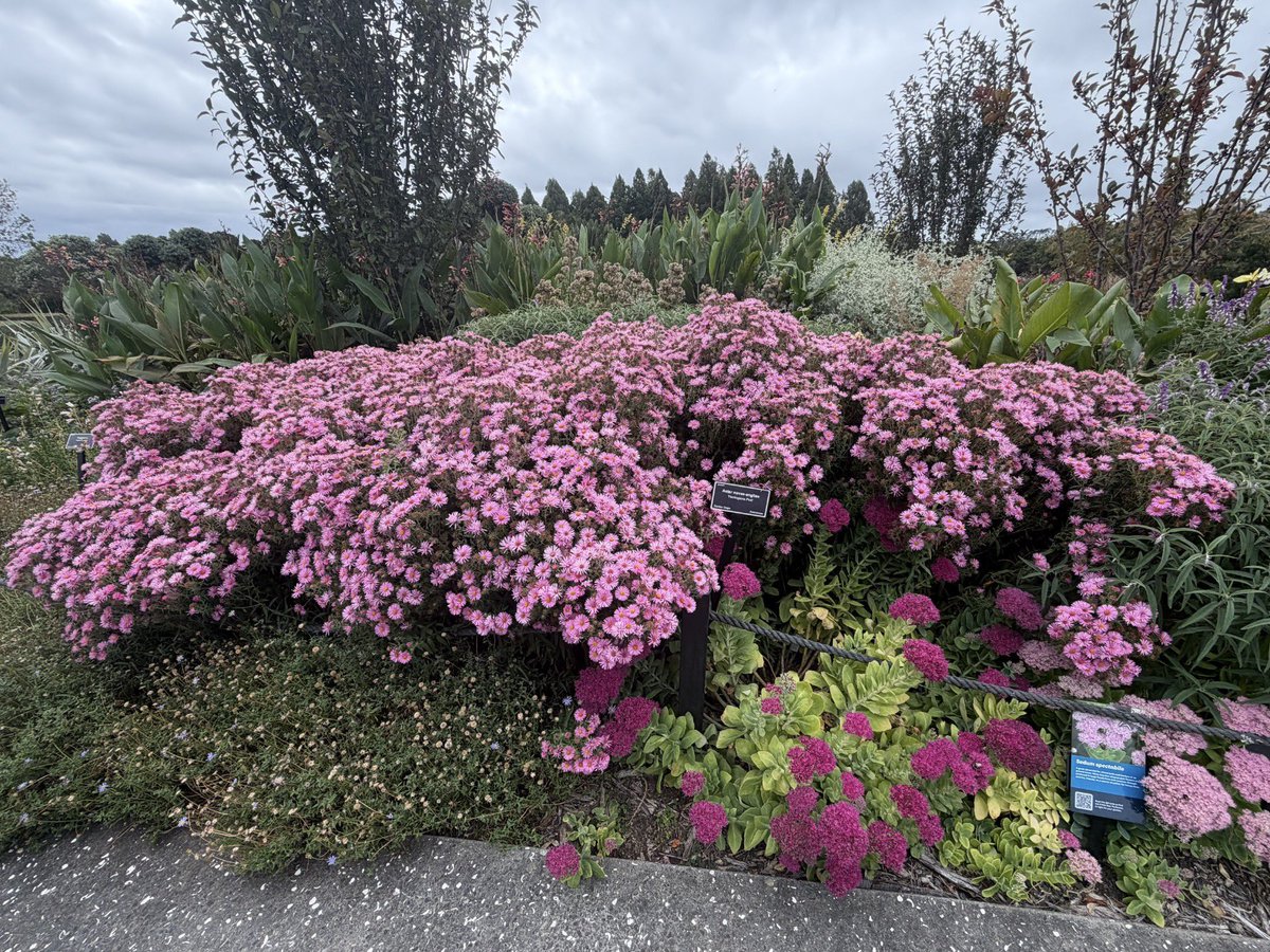 Richard Easton tweet media