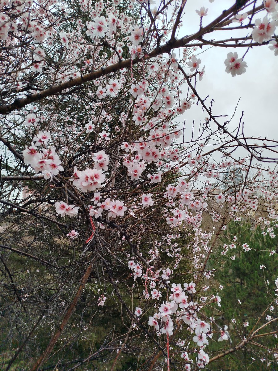 Bayramlar bayram olsun...