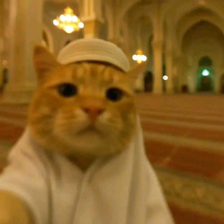 EM3KA🌱 tweet media