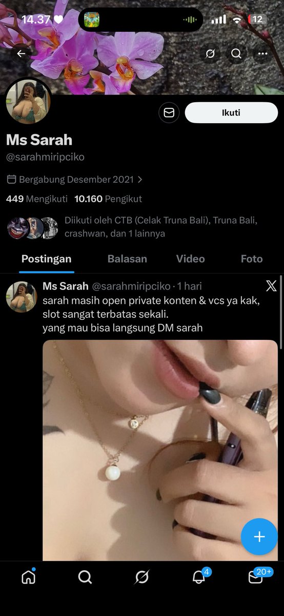 🌻🐝 tweet media