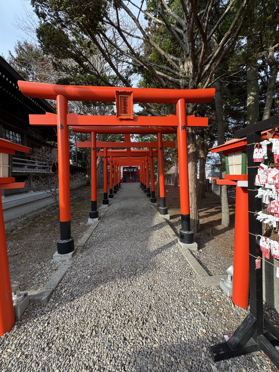 akiraHBK☄️🐱 tweet media