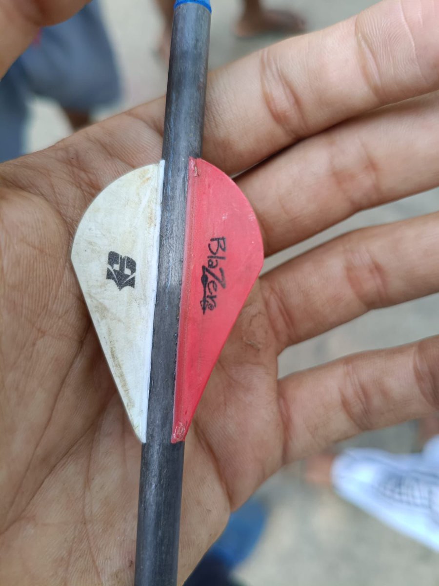 Save SGNP tweet media