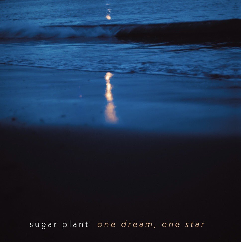 sugar plant official tweet media