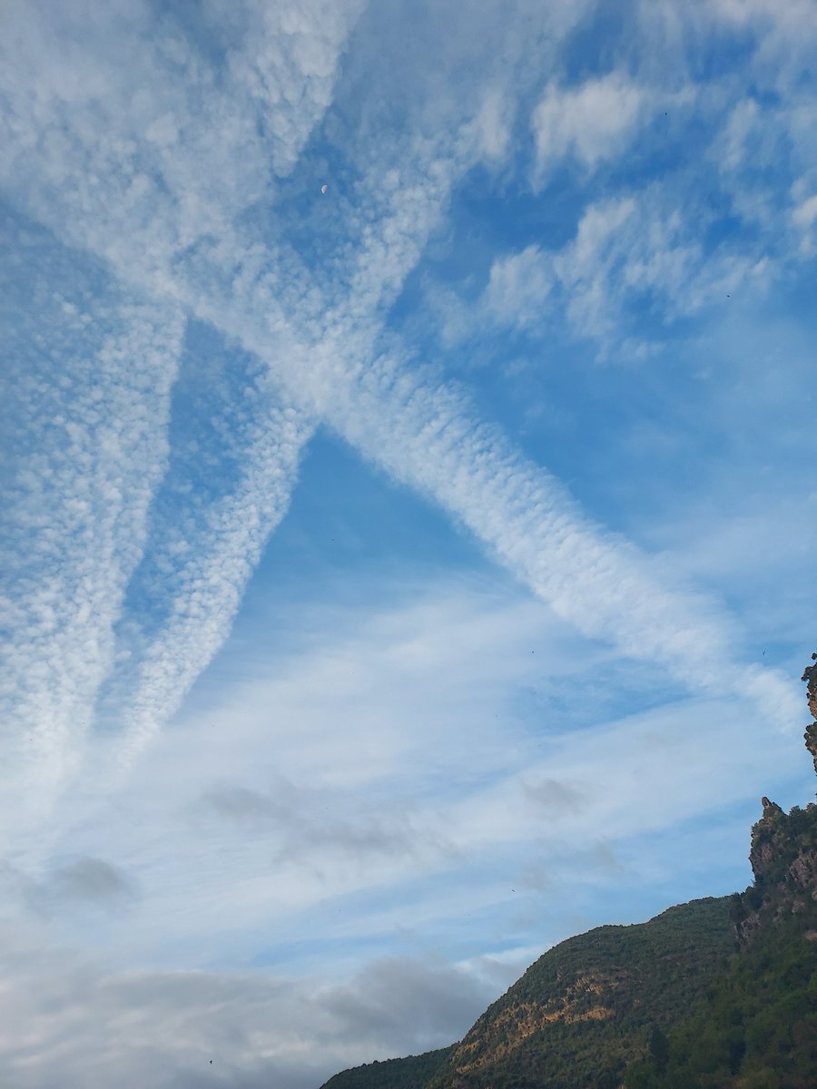 Béatrice B. tweet media