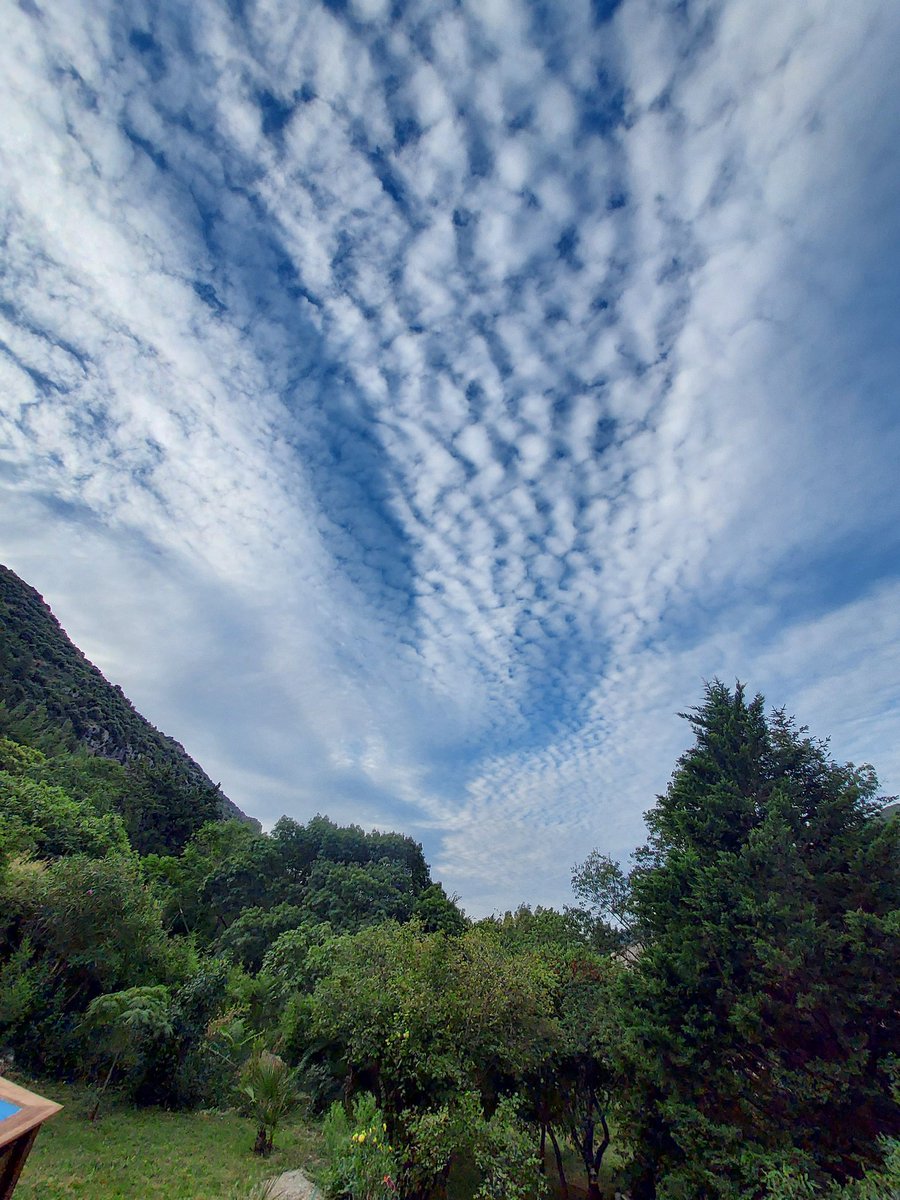 Béatrice B. tweet media