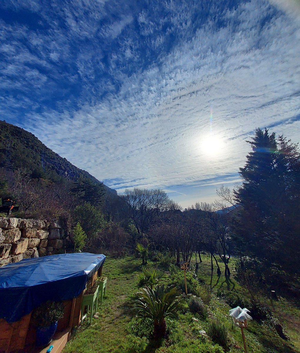 Béatrice B. tweet media