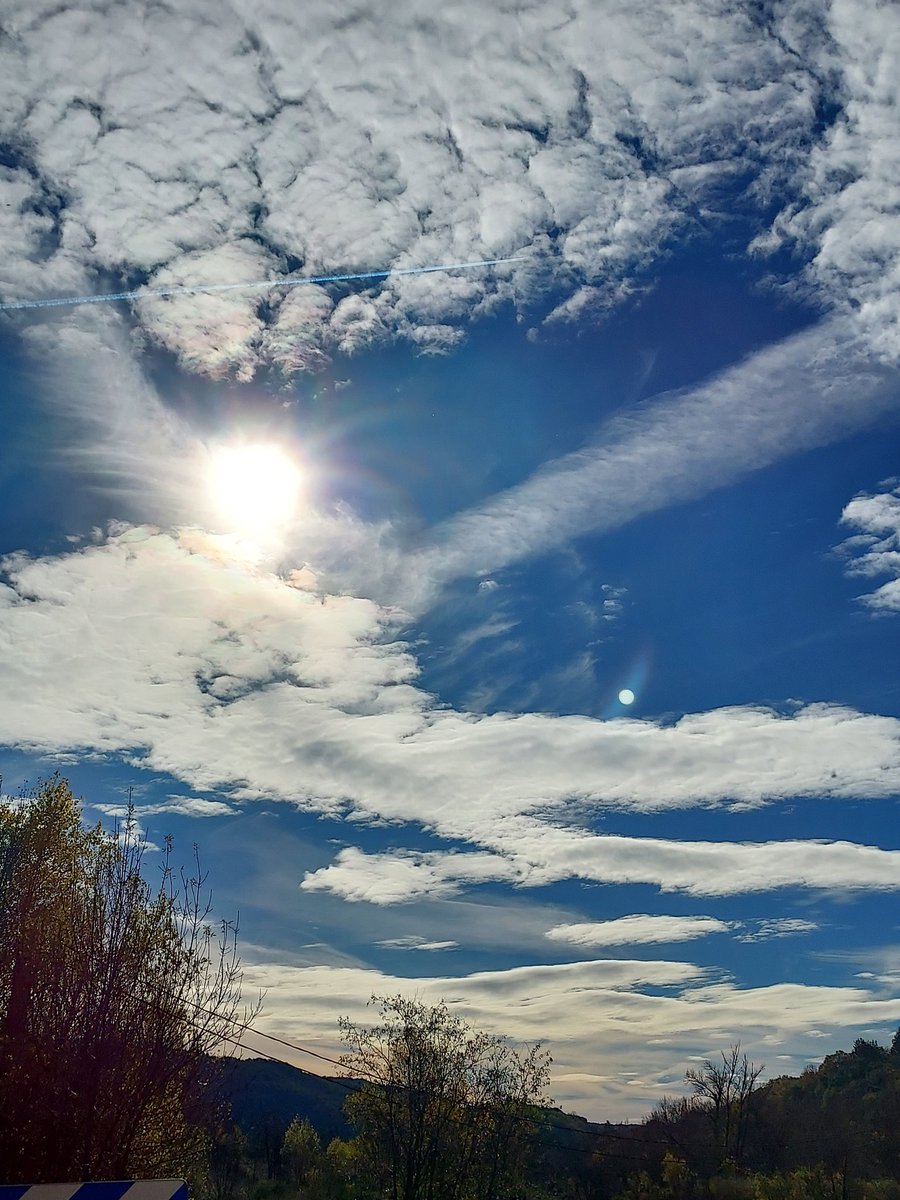 Béatrice B. tweet media