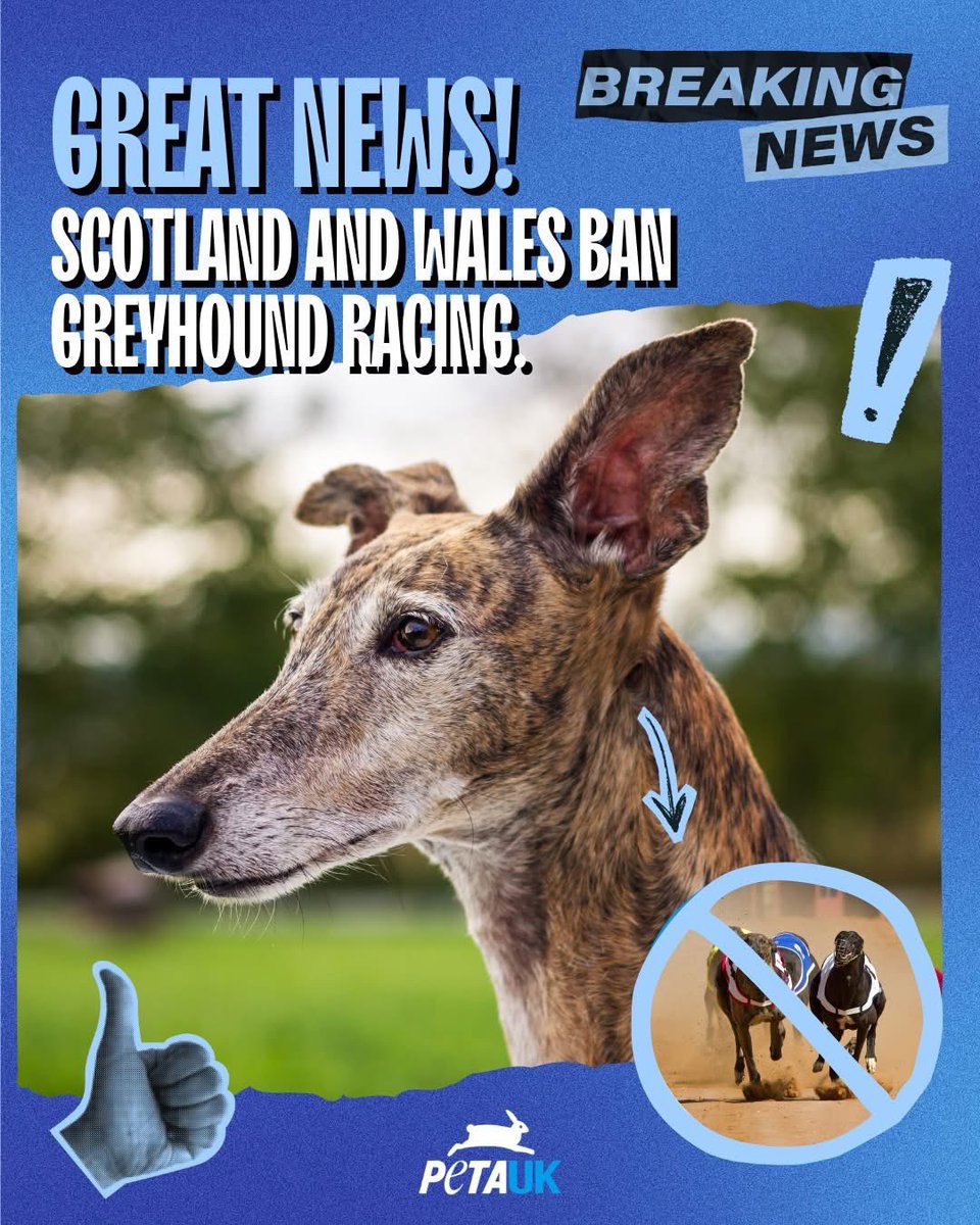 dominic dyer tweet media