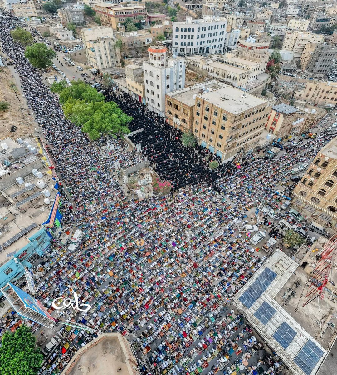 المقداد هاشم tweet media