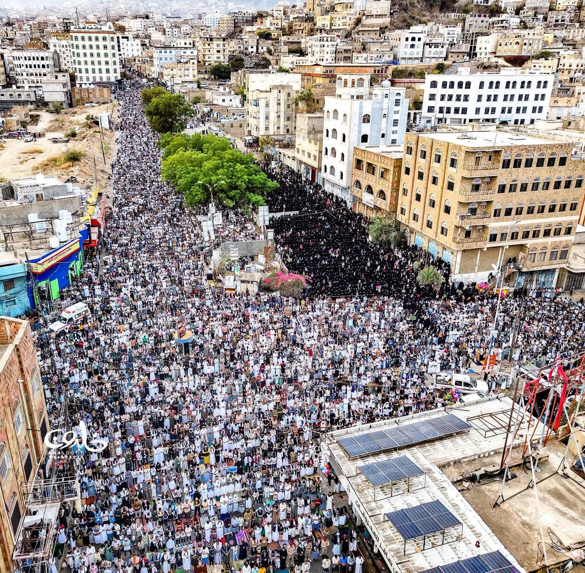 المقداد هاشم tweet media