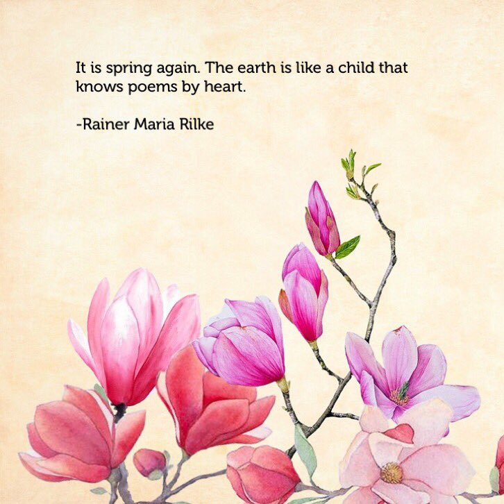 Veggie Fest Chicago tweet media