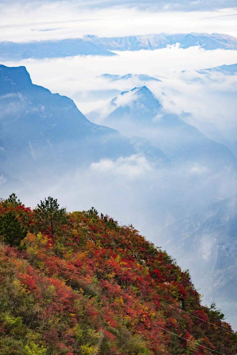 Uwe Falkenberg tweet media