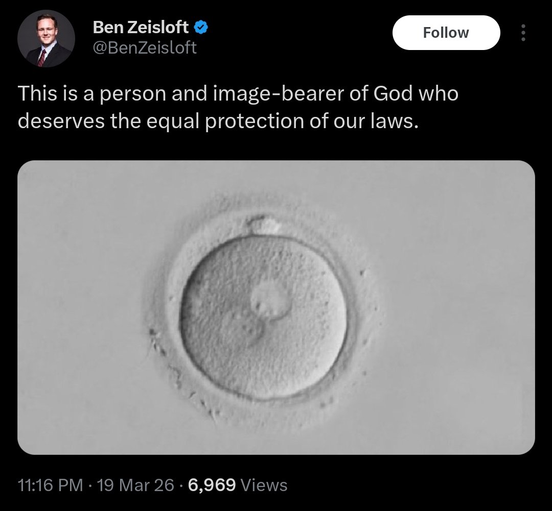 plasma ۞ tweet media