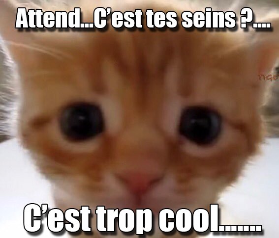 CmdtShepard_ tweet media