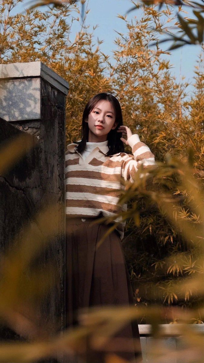 bruce derrick lim tweet media