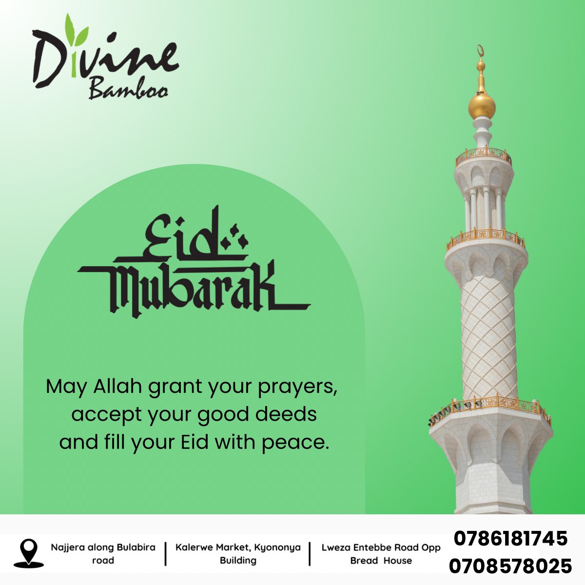 Divine Bamboo tweet media