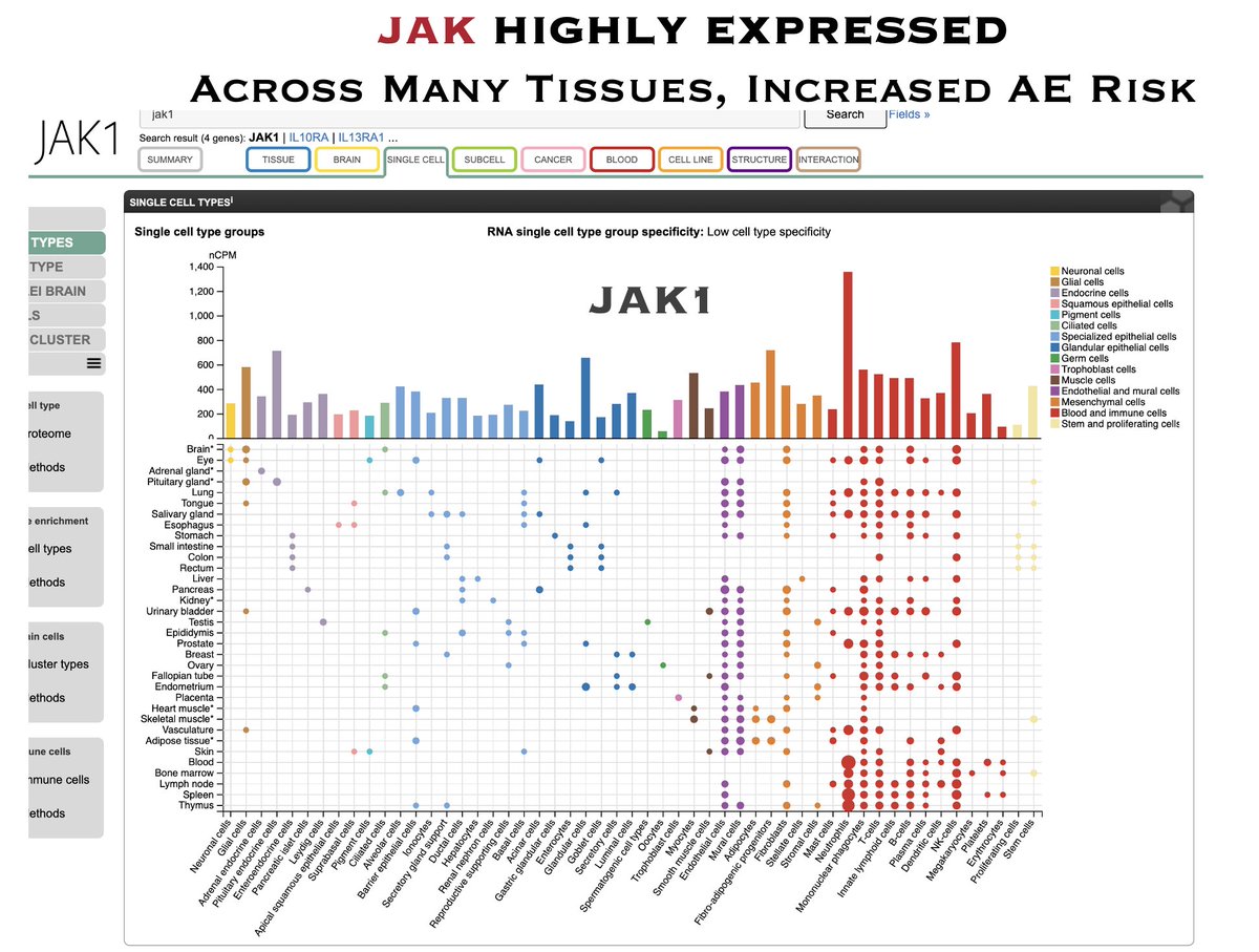 In Honour Of Thomas W Phelps tweet media