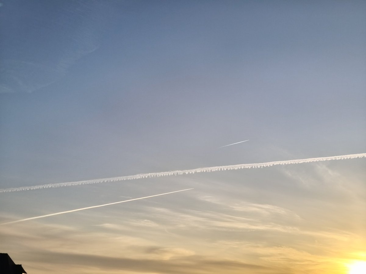 One does allege all of ones content🏴󠁧󠁢.. tweet media