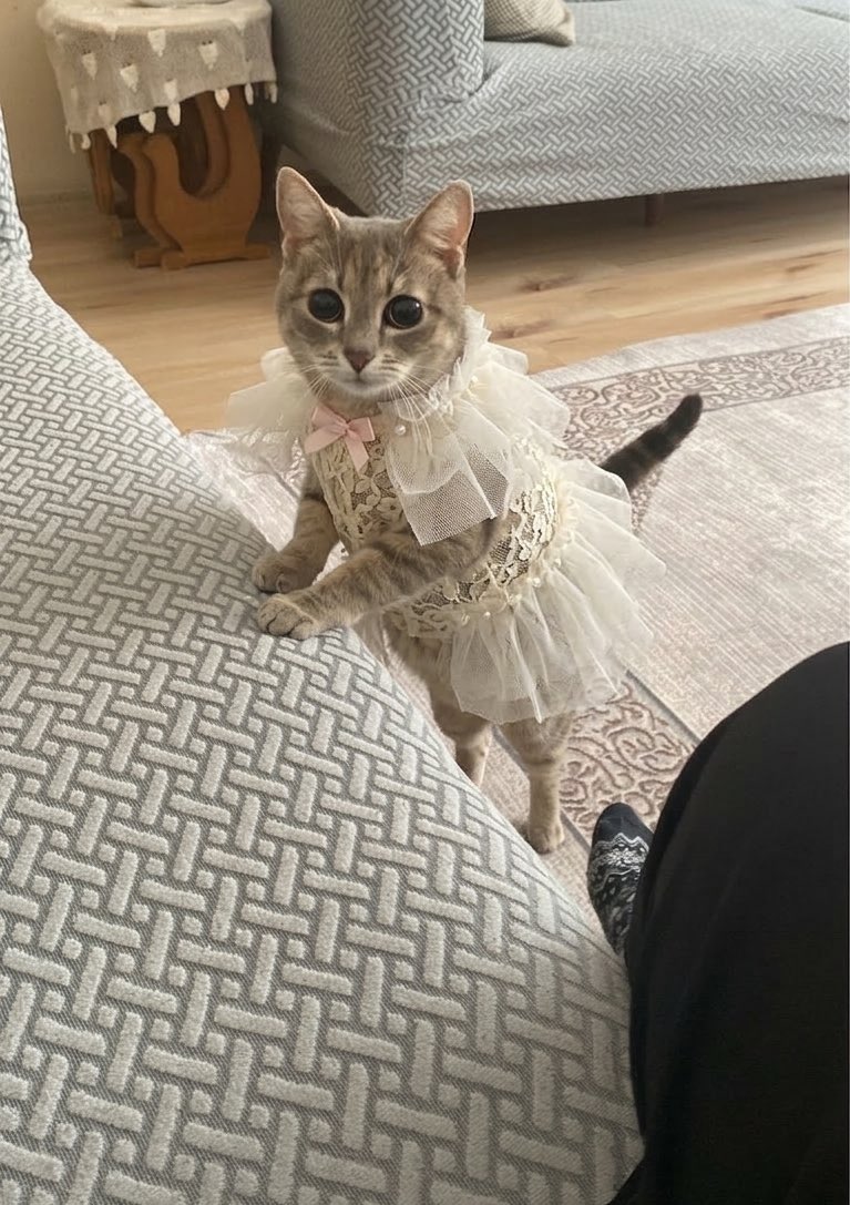 irmiKnot tweet media