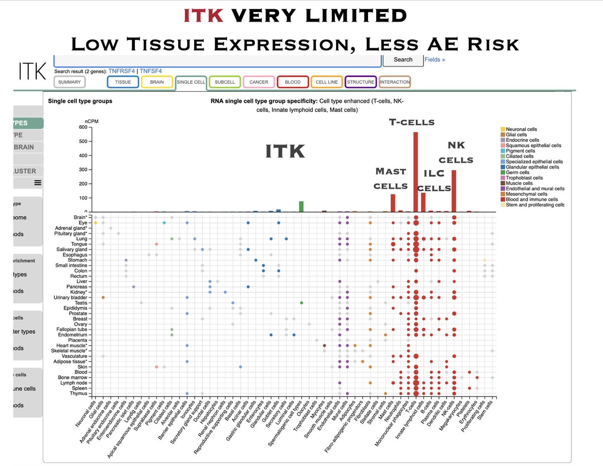 In Honour Of Thomas W Phelps tweet media