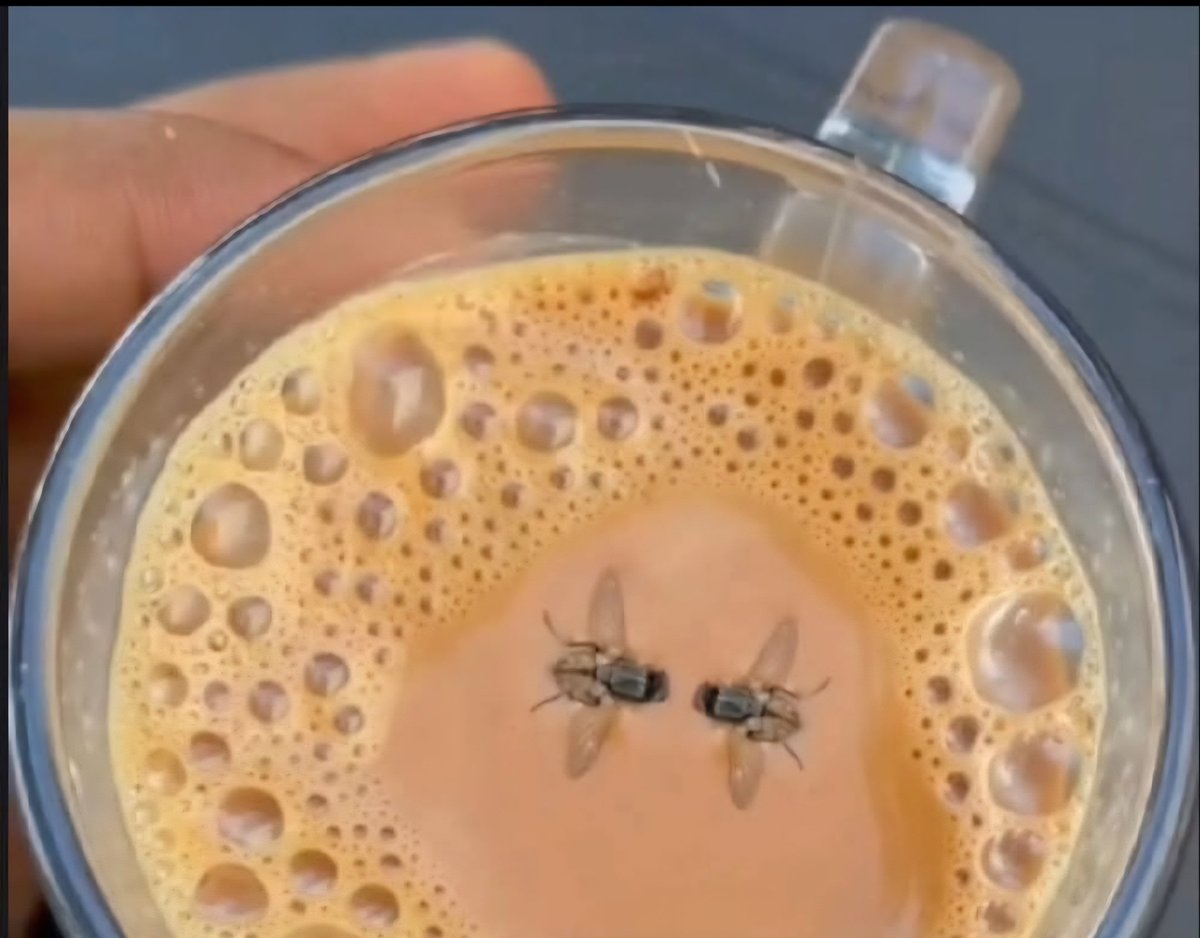 Sarmad Hameed tweet media