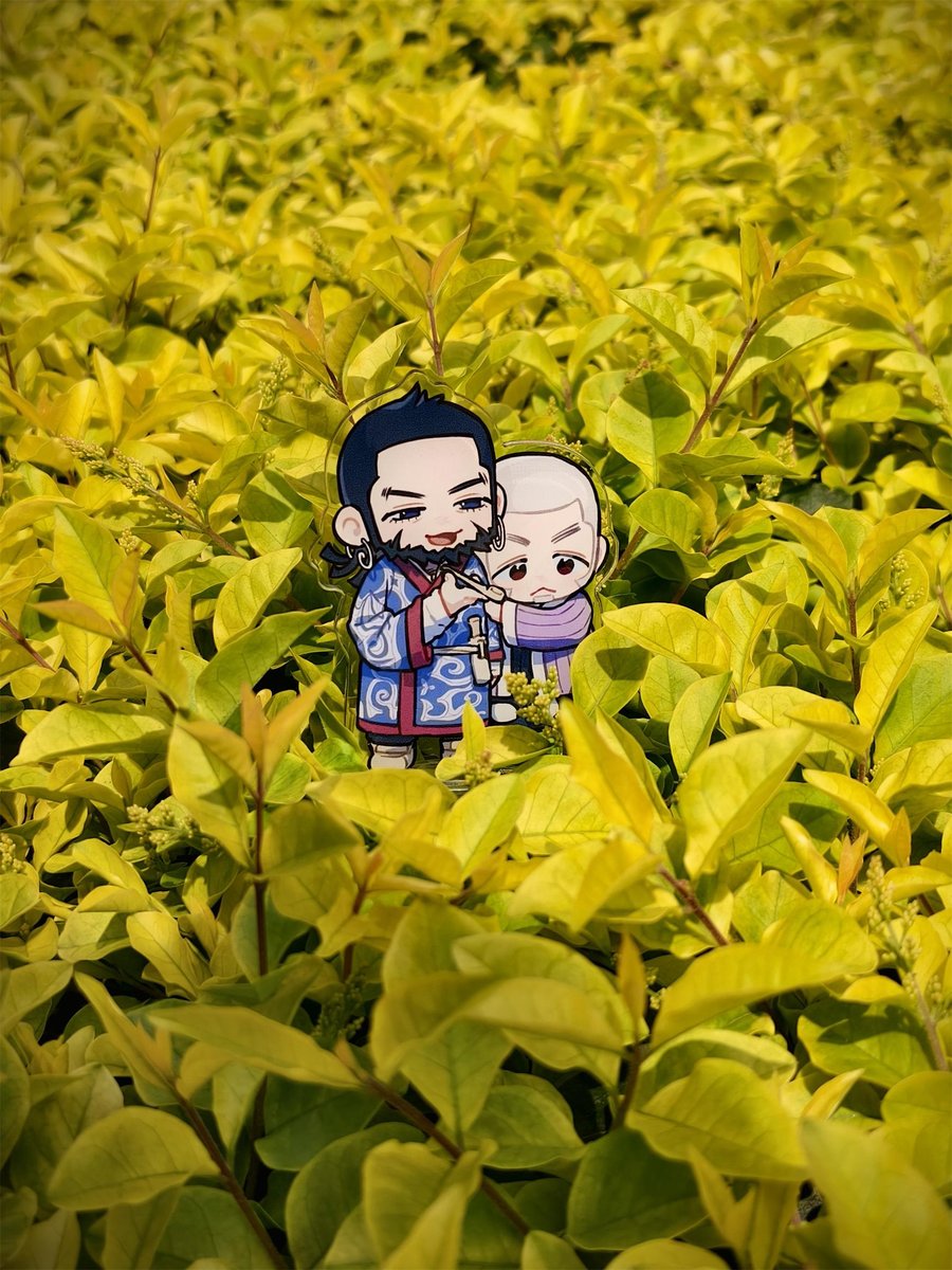 茶老根 tweet media