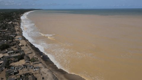 nii ashifi smith tweet media