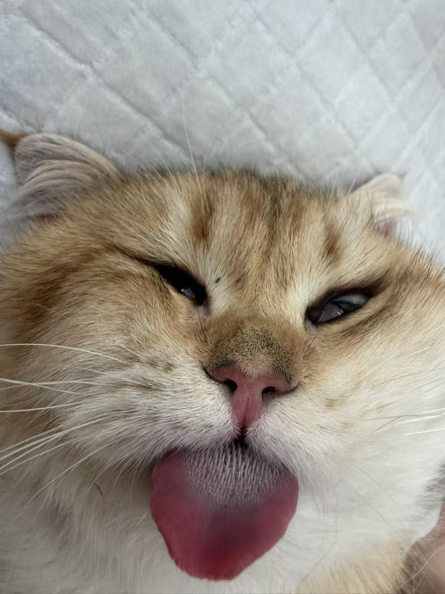 还是有点饿 tweet media