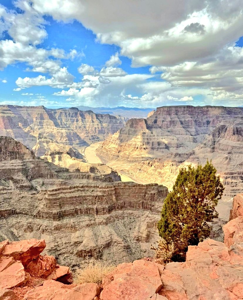 julie 💭 tweet media