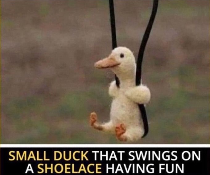 Ms. Press tweet media