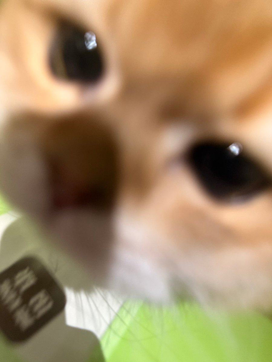 还是有点饿 tweet media