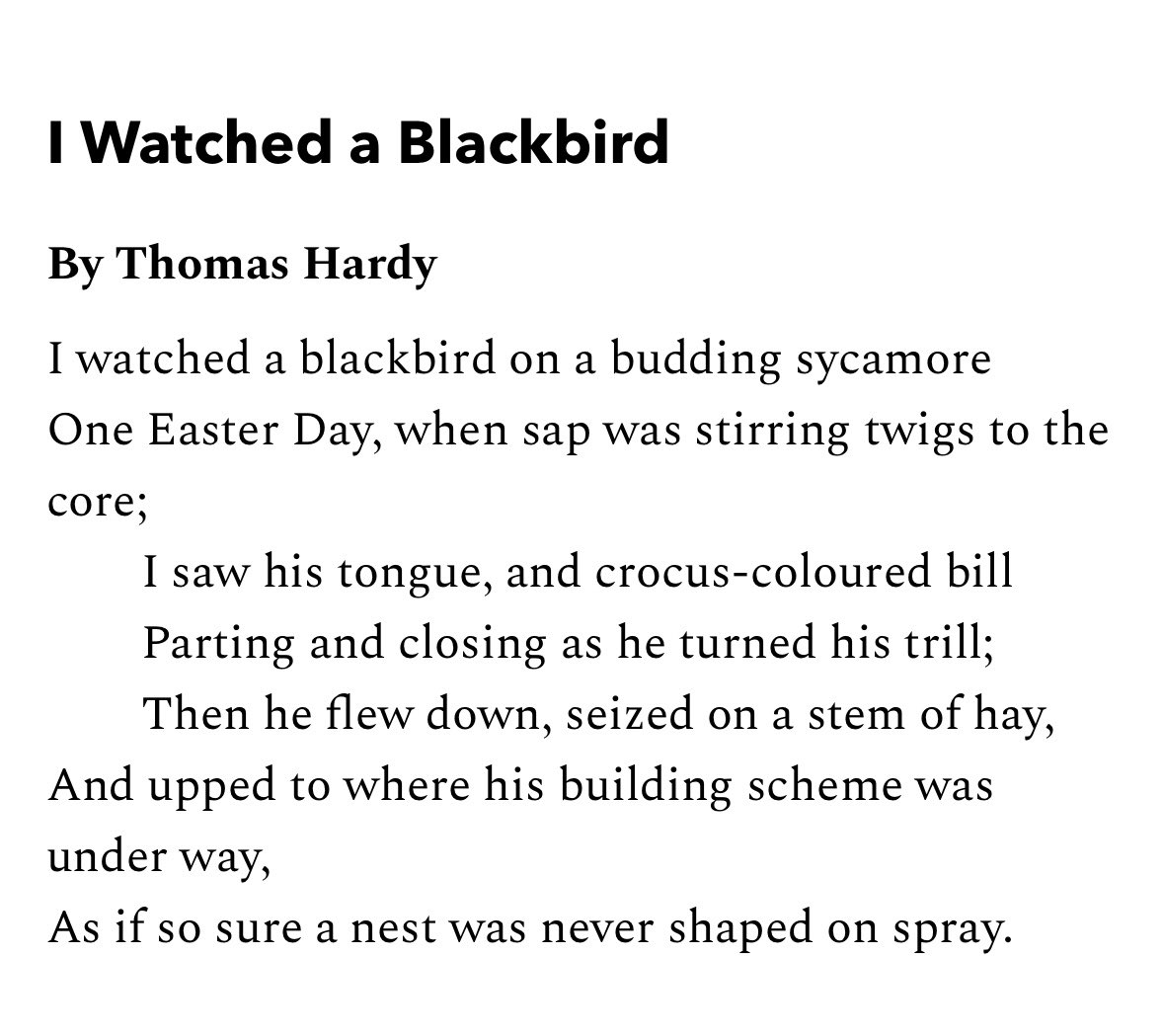 English at Millais School tweet media