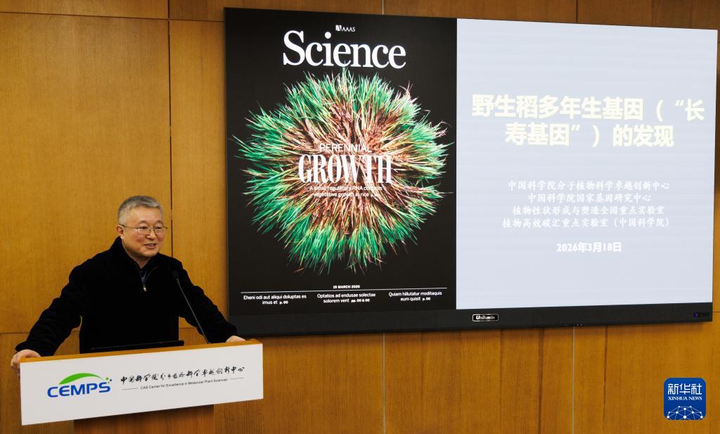 人民日報  People's Daily tweet media