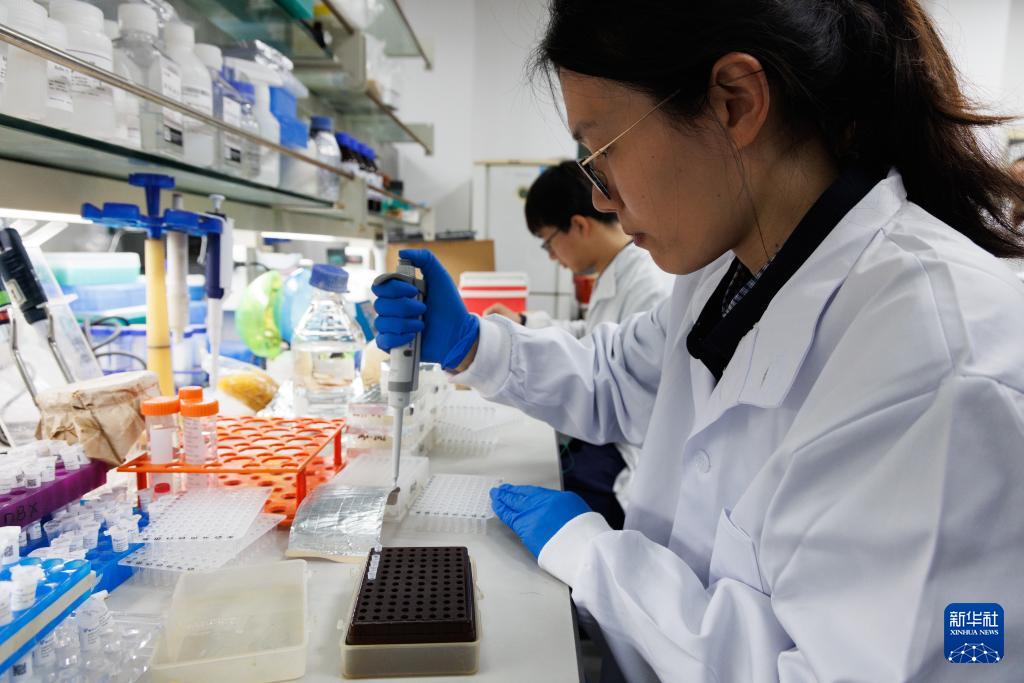 人民日報  People's Daily tweet media