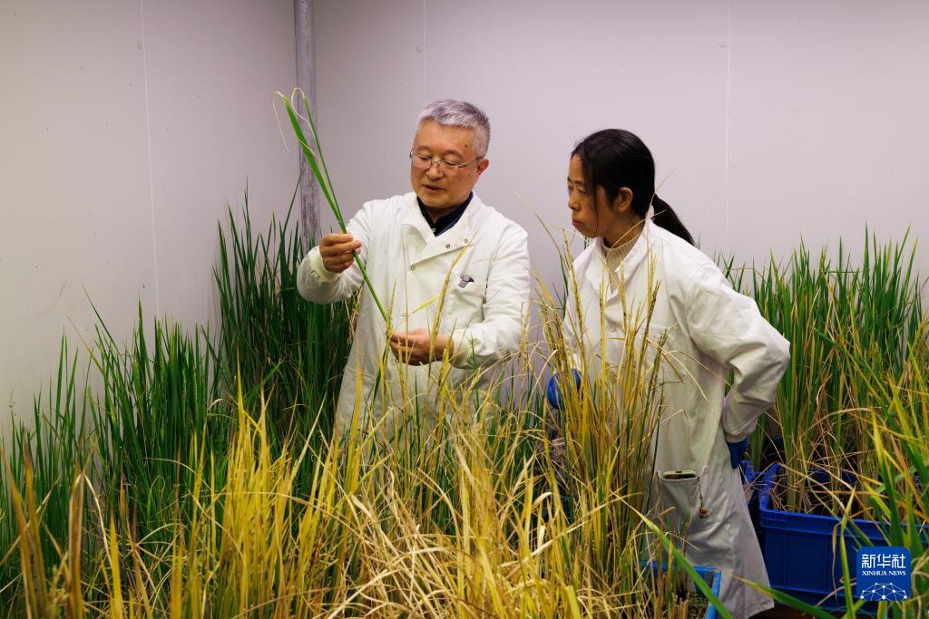 人民日報  People's Daily tweet media