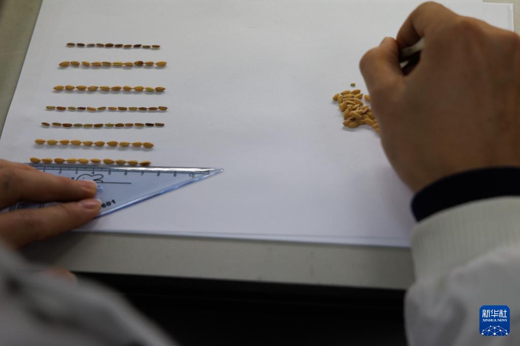 人民日報  People's Daily tweet media