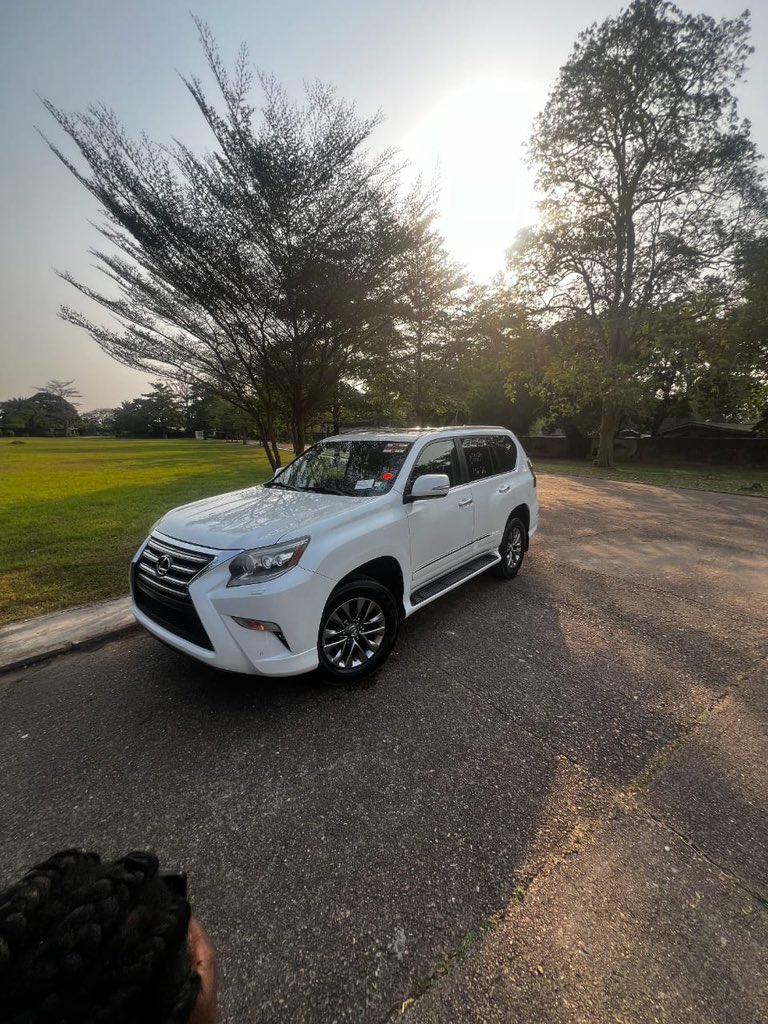 B¹G ZIM tweet media