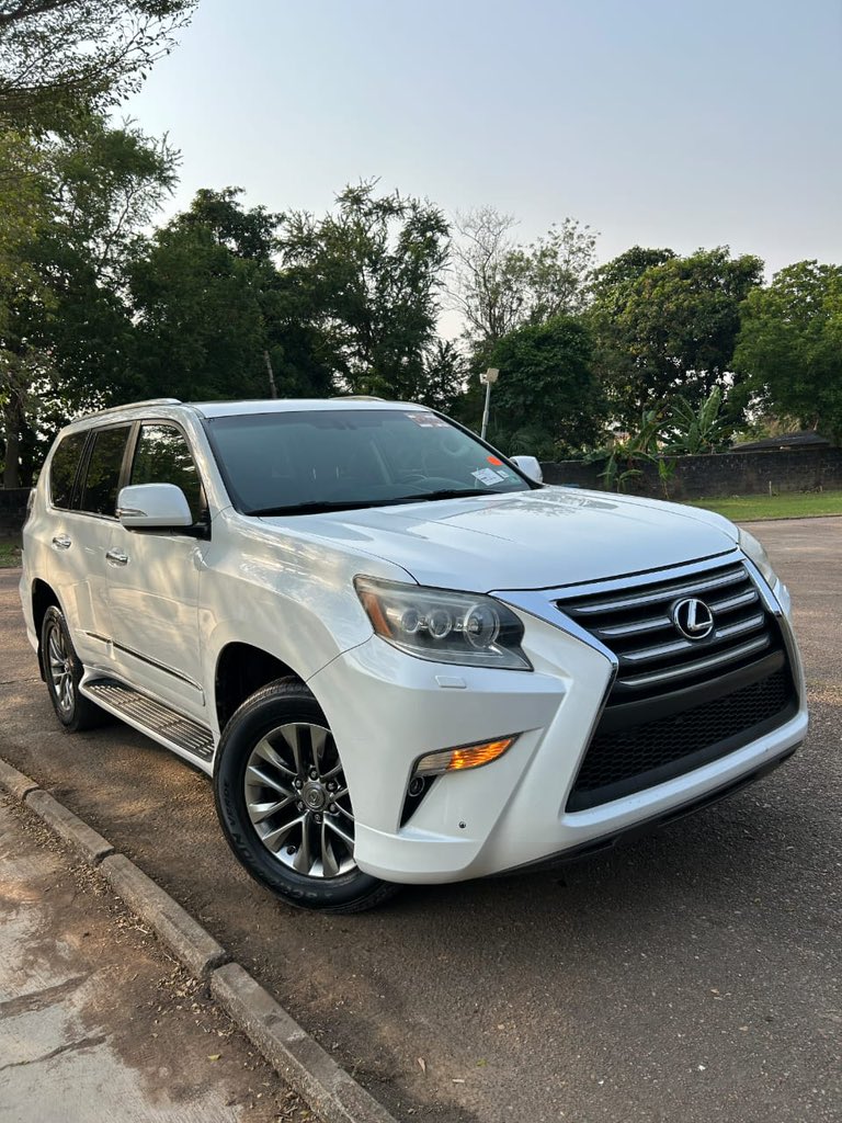 B¹G ZIM tweet media