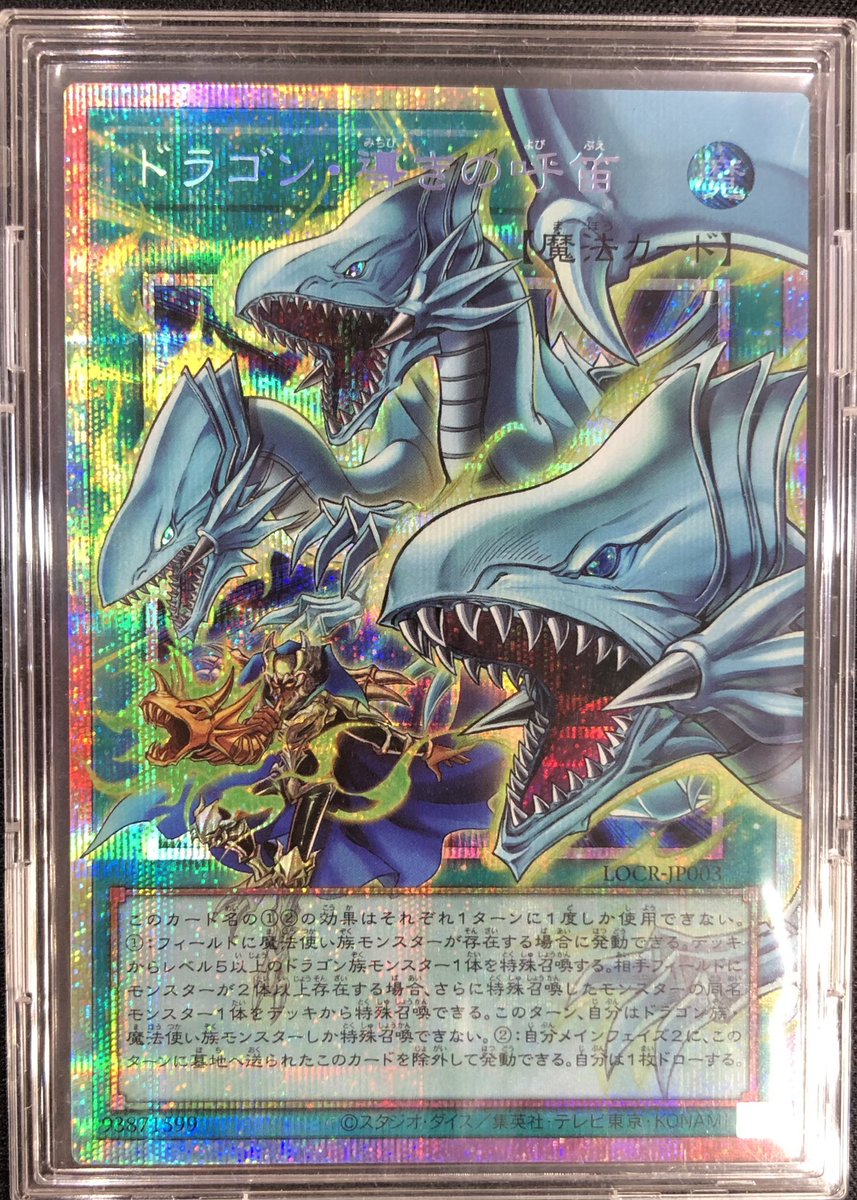 遊戯王 ドラゴン・導きの呼笛 プリズマティックシークレットレア ☆ 遊戯王 ドラゴン・導きの呼笛 プリズマティックシークレットレア