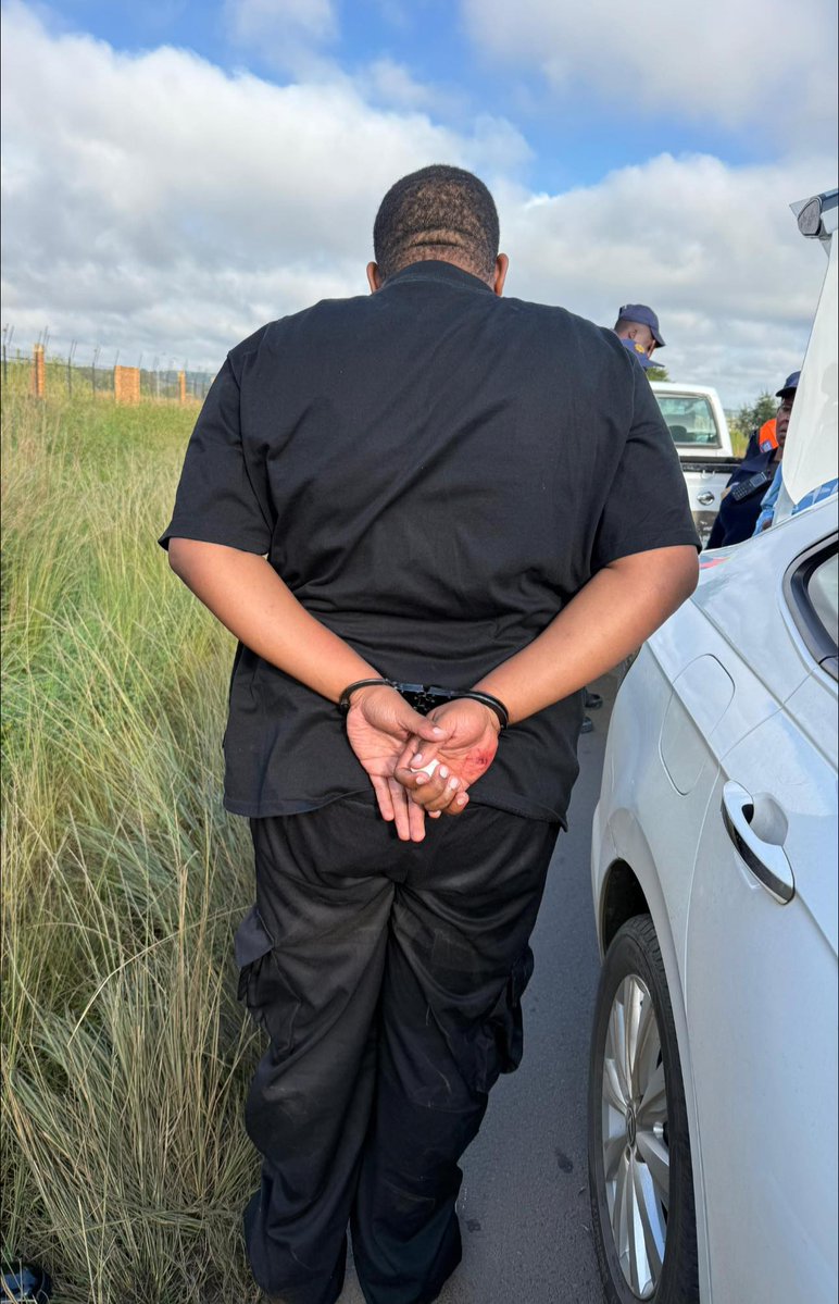 Arrive Alive tweet media