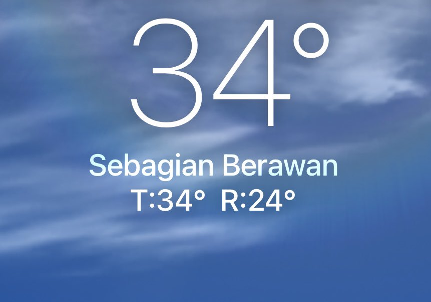 Koala Tales tweet media