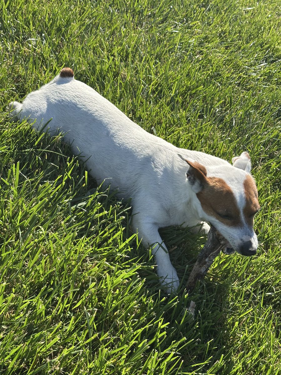 Nathalie Picard tweet media