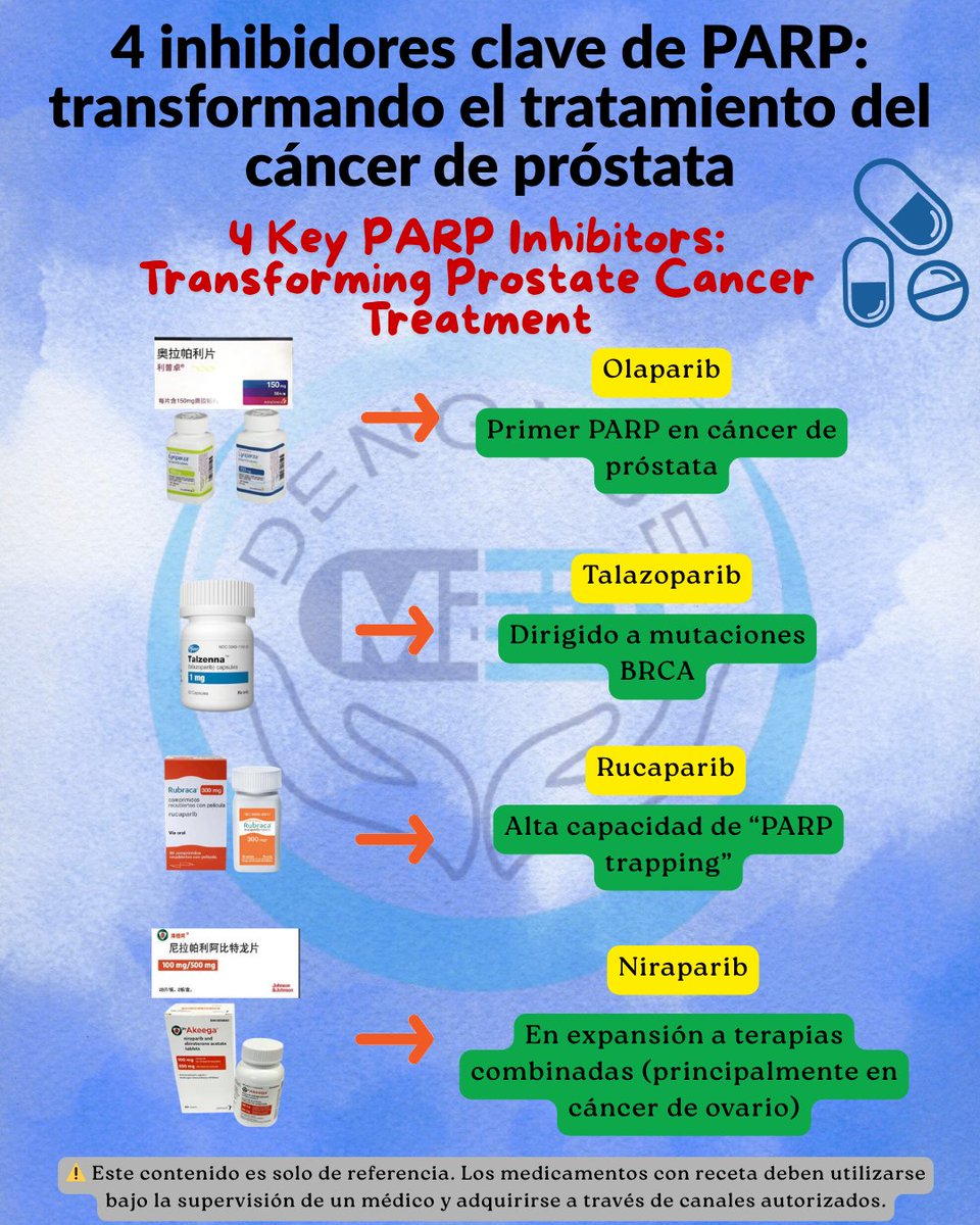 HKDengYueMed's tweet image. 🧬 4 inhibidores clave de #PARP en el tratamiento del cáncer de próstata
💊 Terapia dirigida 
🎯 Mutaciones #BRCA 

#CáncerDePróstata #ProstateCancer #PARPInhibitors #PrecisionMedicine #TerapiaDirigida #TargetedTherapy #HRR #DNARepair #InnovaciónMédica #DengYueMedicinasEnHongKong
